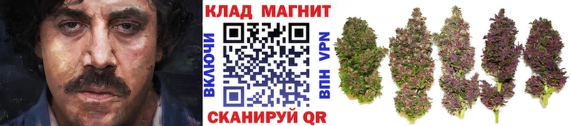 Названия наркотиков Владимир Альфа ПВП  Псилоцибиновые грибы  ГАШ  Каннабис  МЕФ 
