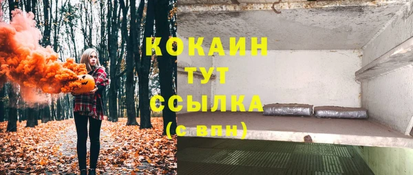 гашик Абаза