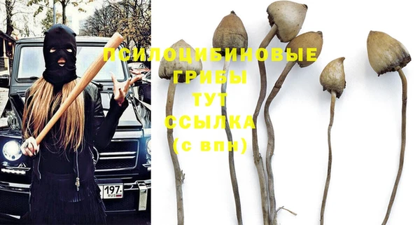 гашик Абаза
